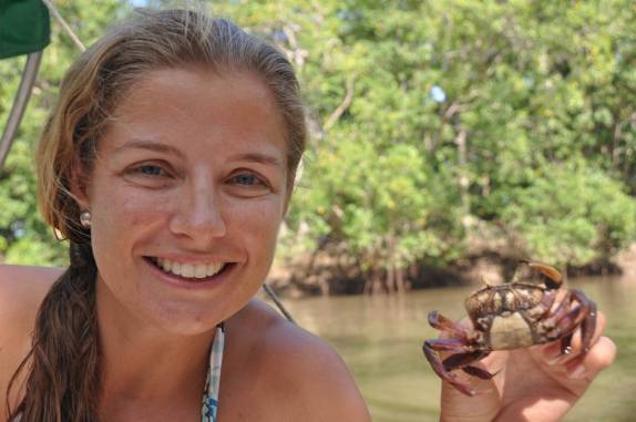 Carangueijos do mangue do Delta do Parnaíba, na fronteira dos estados do Piauí e Maranhão